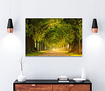 Obraz Stromová alej 1856